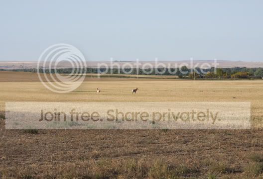 IMG_1751.jpg