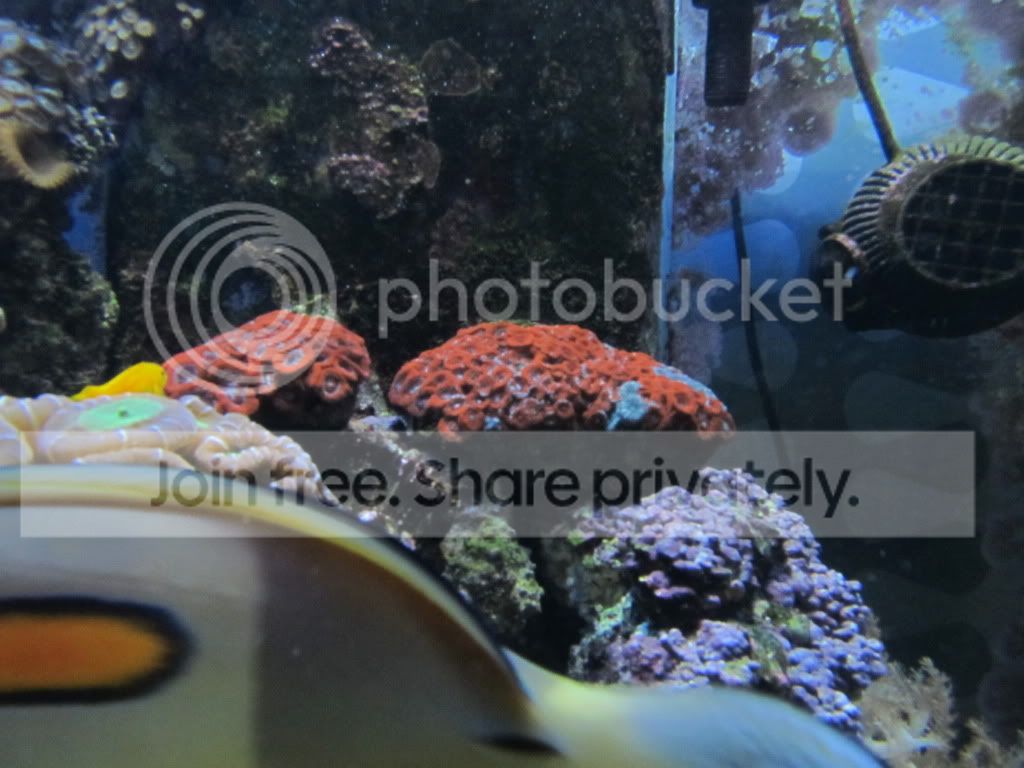 IMG_5722.jpg