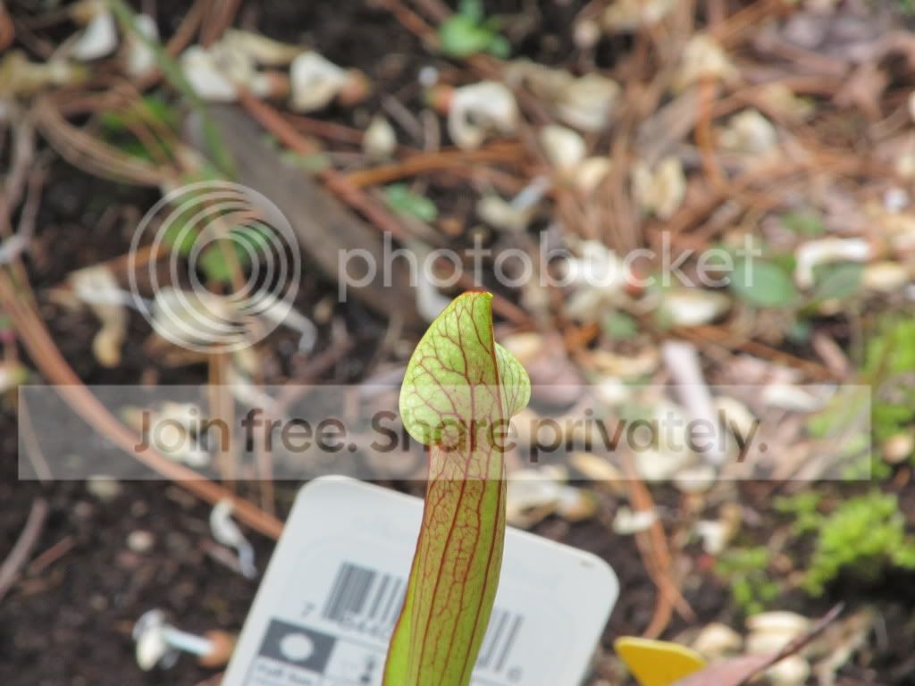 IMG_3526.jpg
