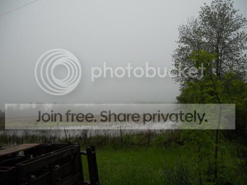 backfeild_5-27-11.jpg