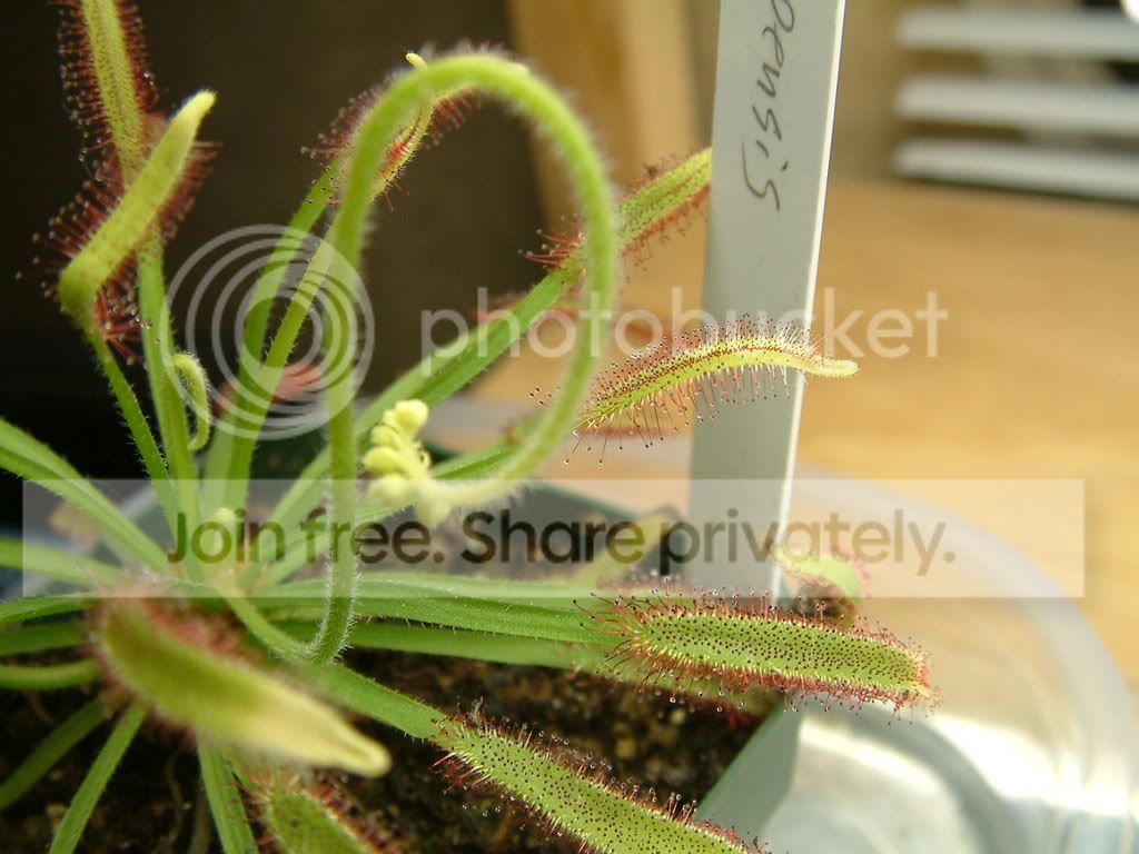 randomCPpictures016.jpg