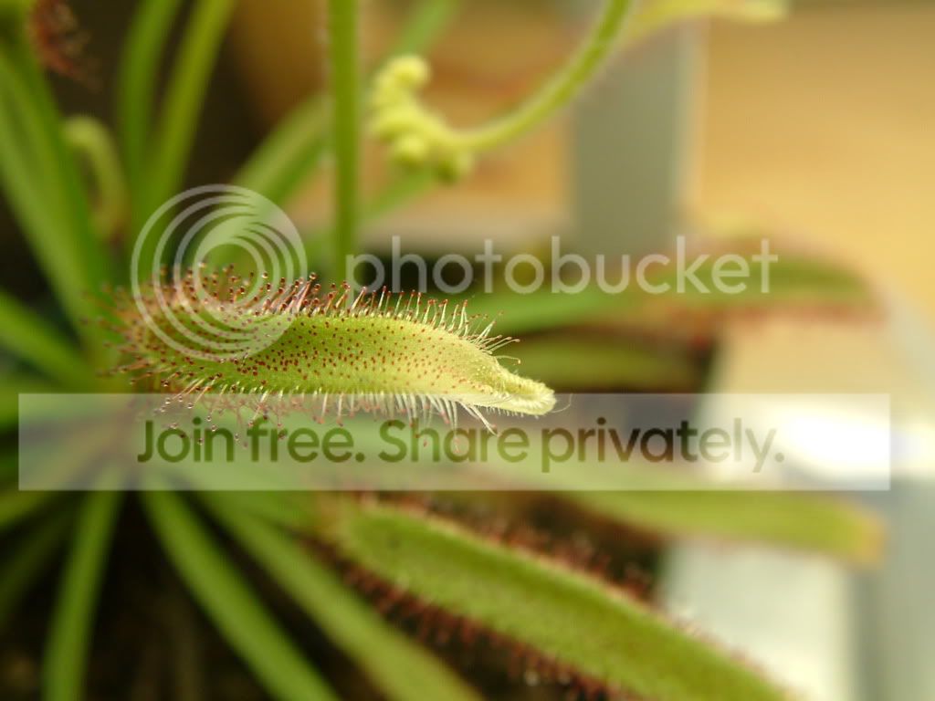 randomCPpictures014.jpg