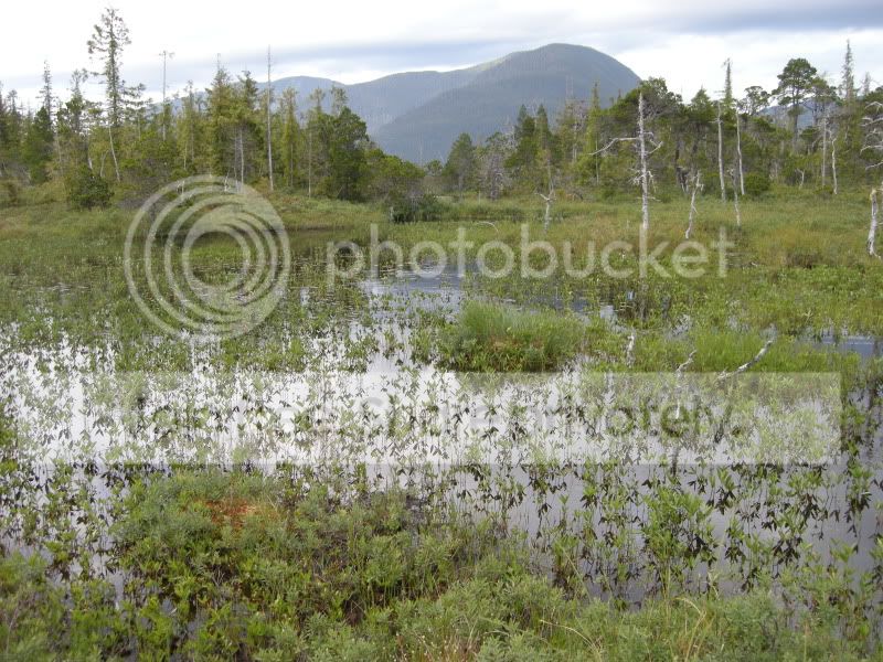 DSCN6147.jpg