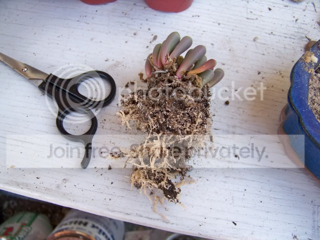 100_3474.jpg