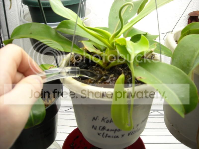 AutoWatering020.jpg