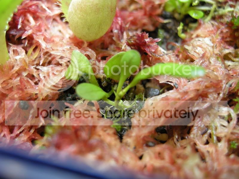 DSCN5661.jpg