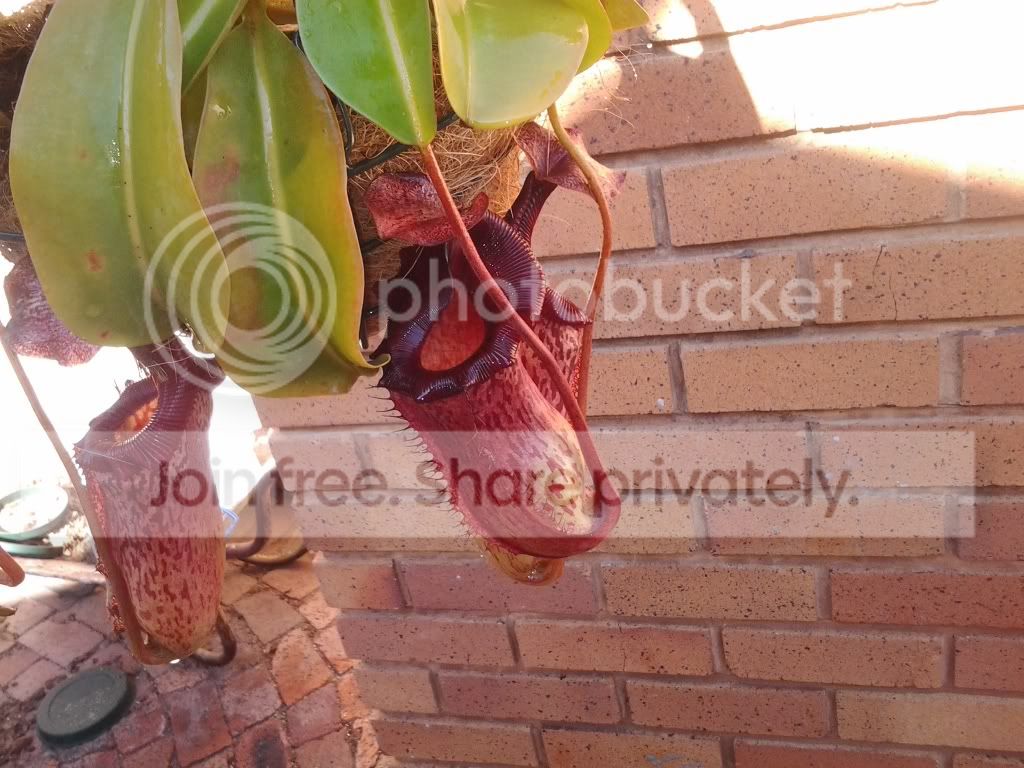 20120614_112432.jpg