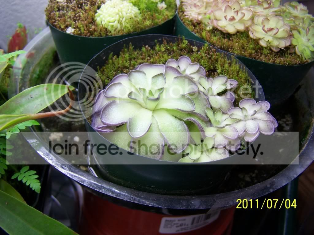100_4761.jpg