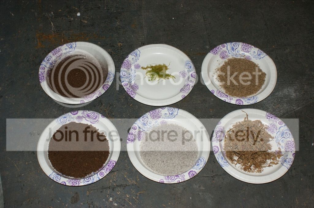 Leaf%20Cutting_001.jpg