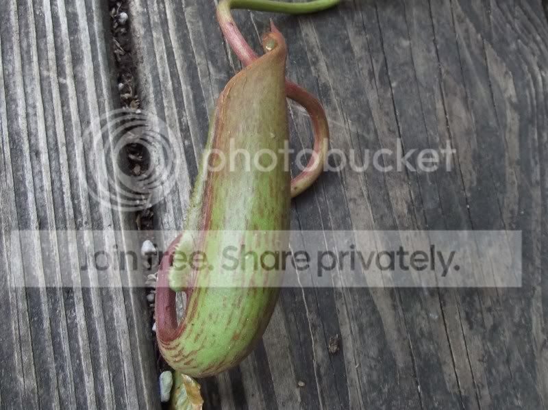 DSCF5789.jpg