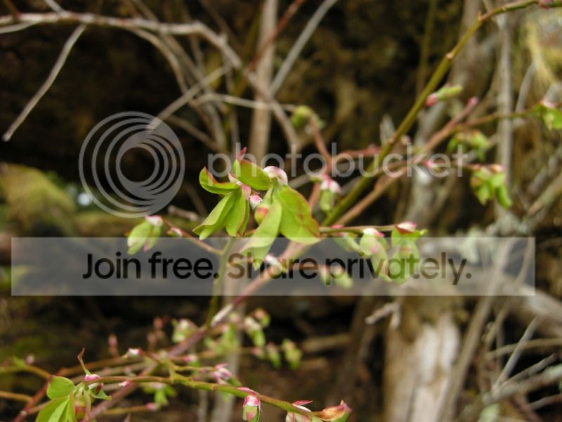 DSCN7165.jpg