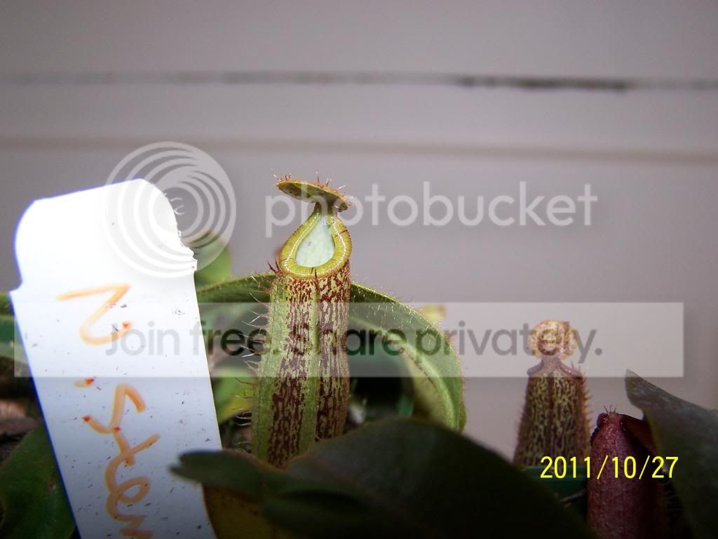 100_5475.jpg