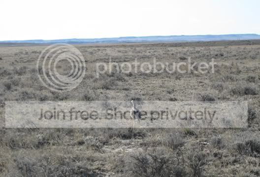 IMG_0863.jpg