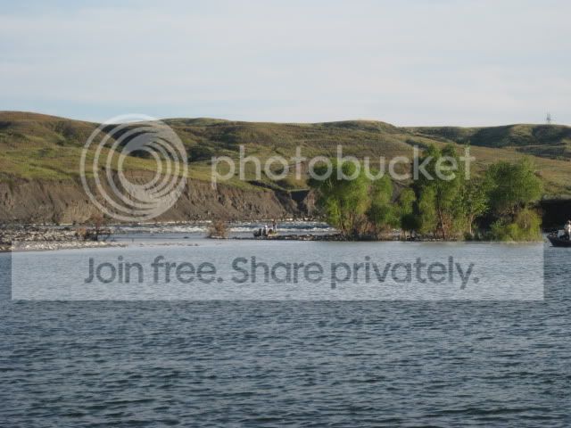 IMG_1691.jpg