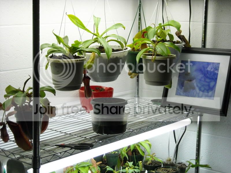 GrowShelf-51008.jpg