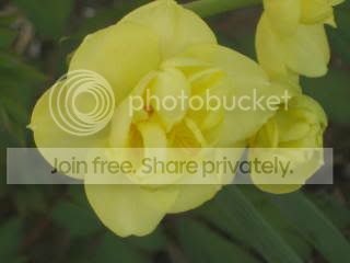 Spring2009012.jpg