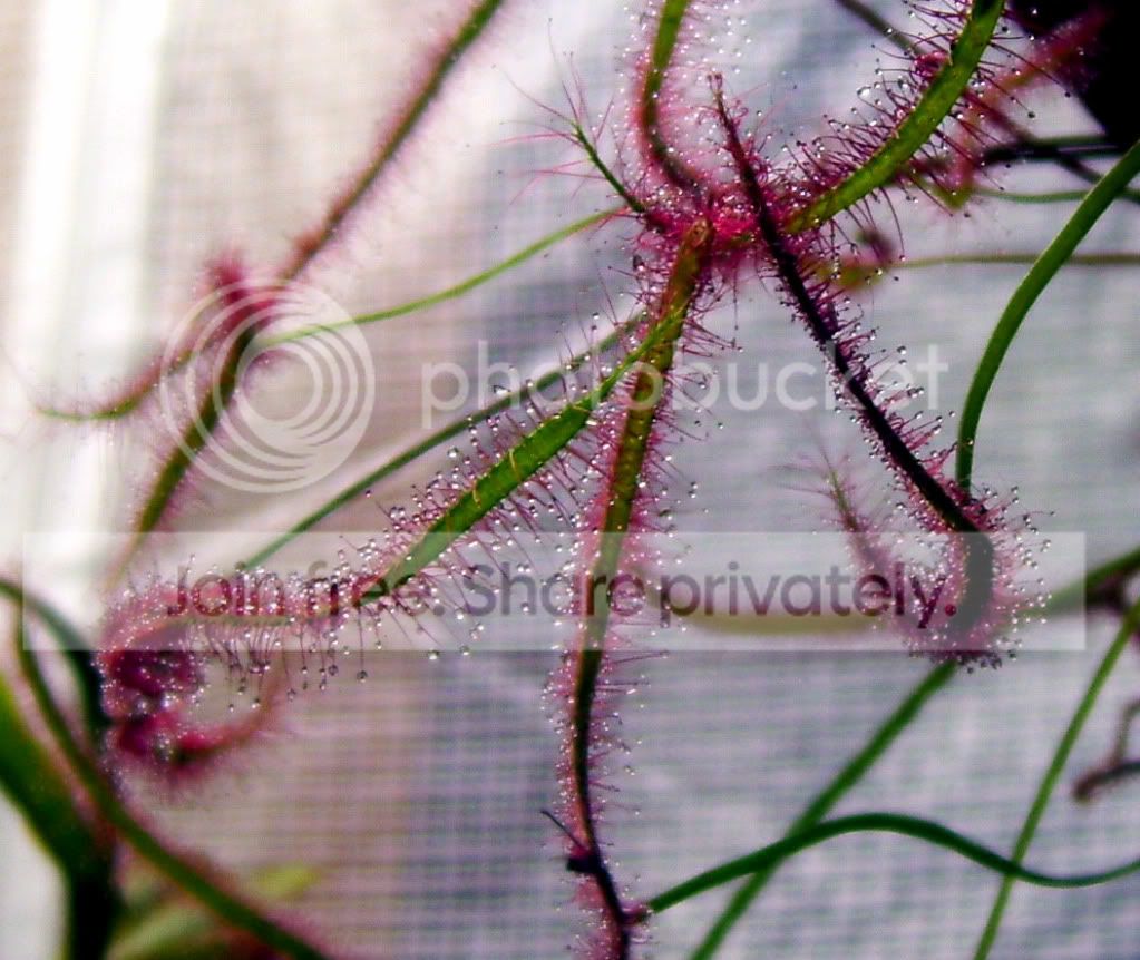 100_8430.jpg