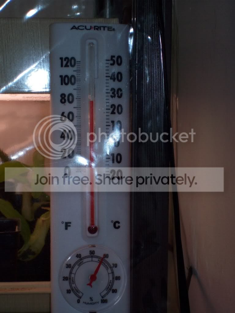Picture004-6.jpg