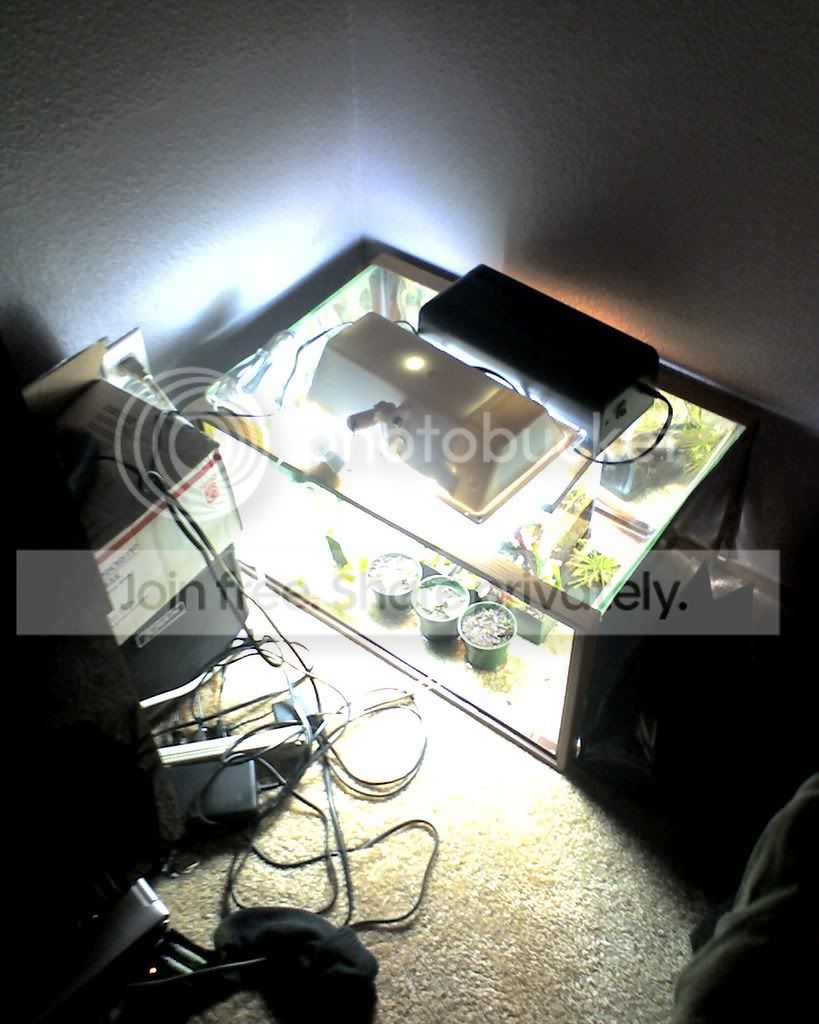 terrarium.jpg