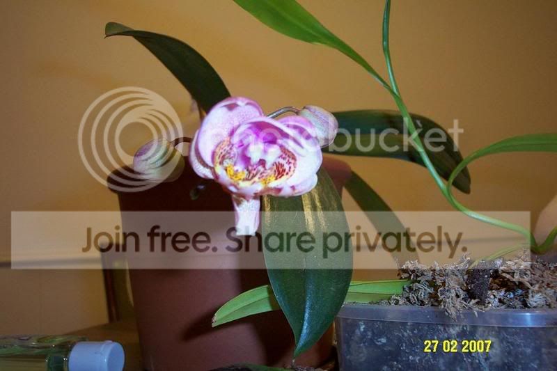 DCP_1619.jpg