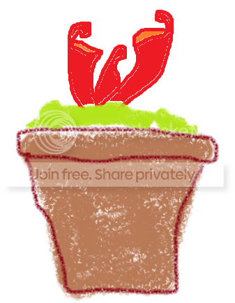 Untitled3-1.png