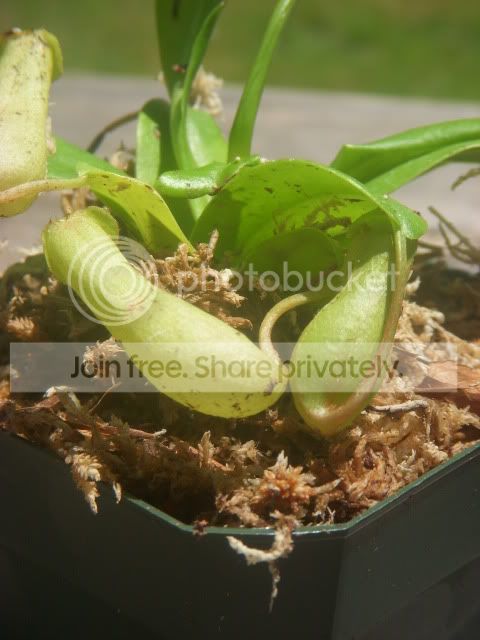 DSCN1513.jpg