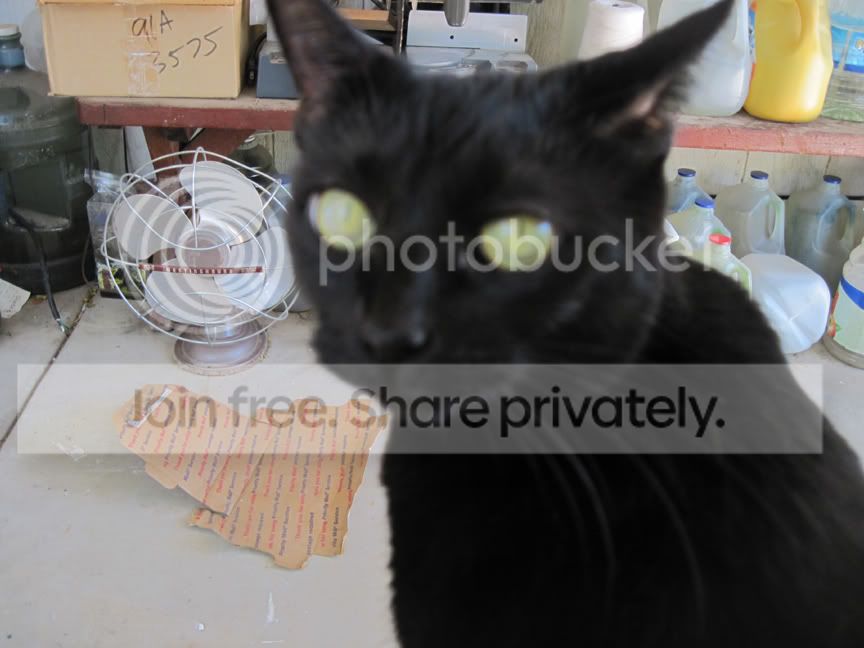 a-125.jpg