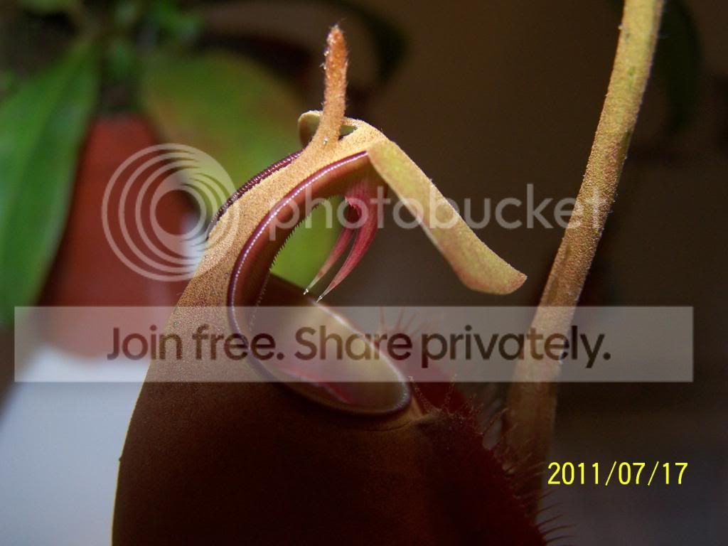 100_4887.jpg