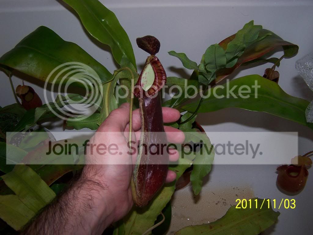100_5510.jpg