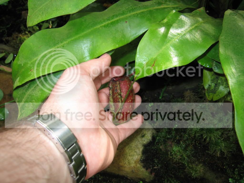 IMG_1236_8_3_1.jpg