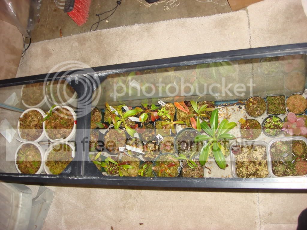 DSC03144.jpg