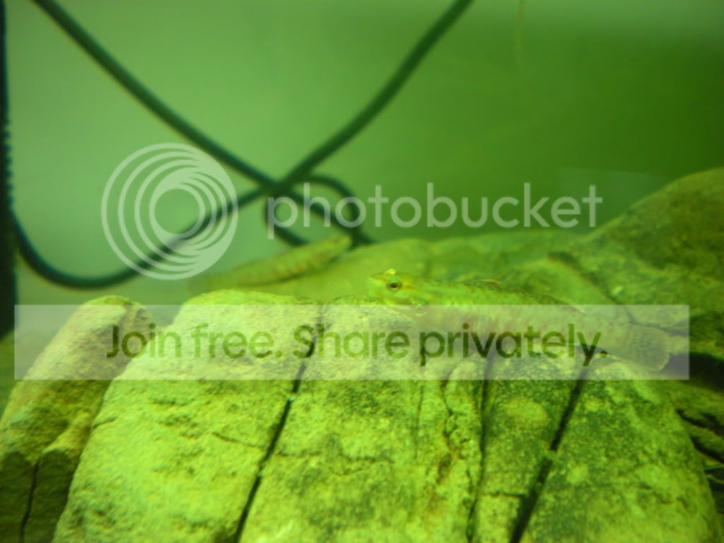 DSCN3900.jpg