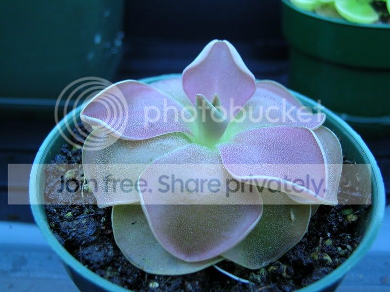 DSCN2538.jpg