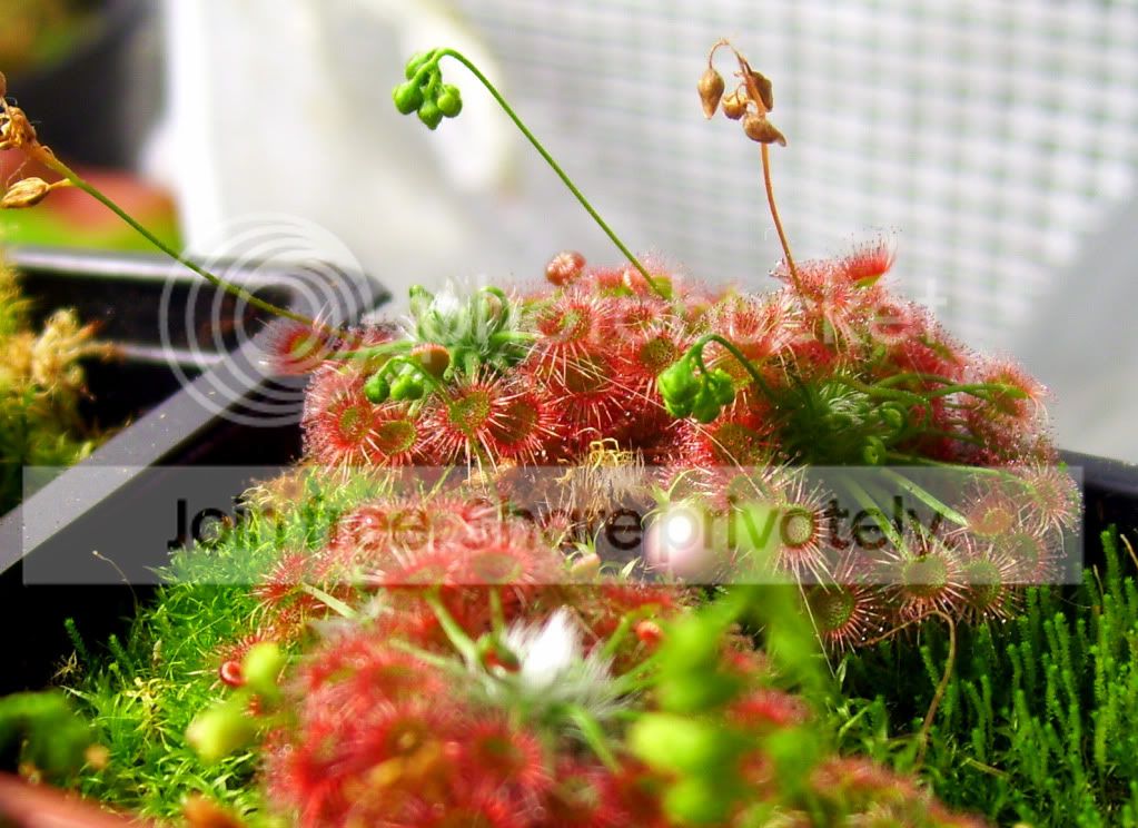 100_8510.jpg