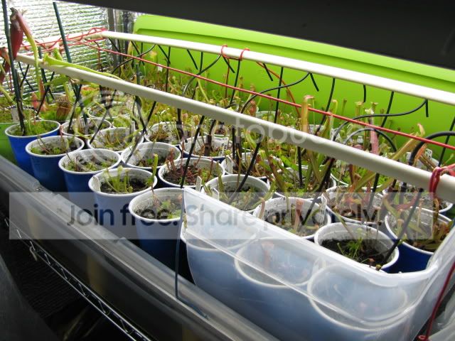 Shelf_1699.jpg