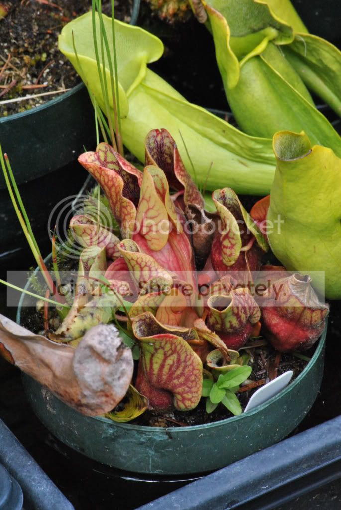 3f87113c.jpg