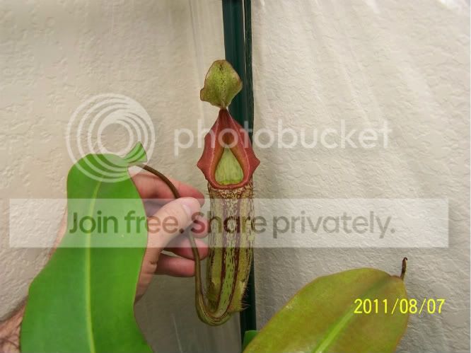 100_5009.jpg