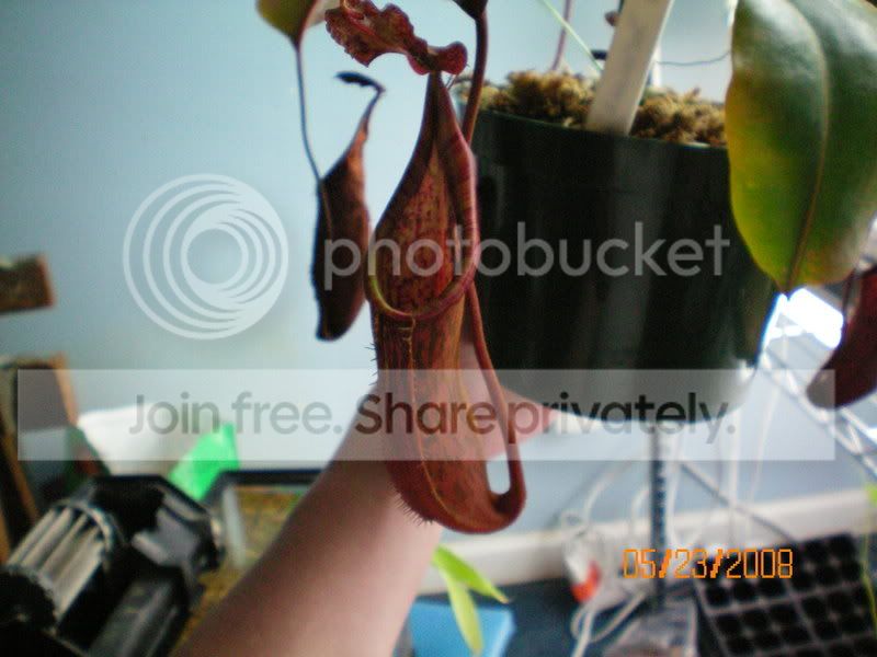 100_0248.jpg
