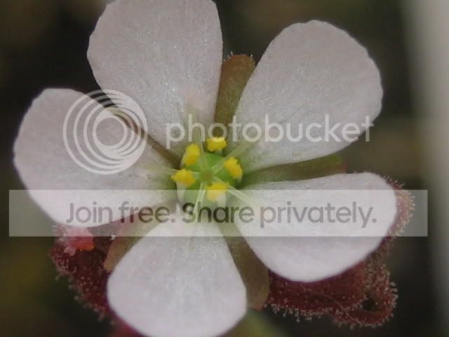 IMG_1351.jpg