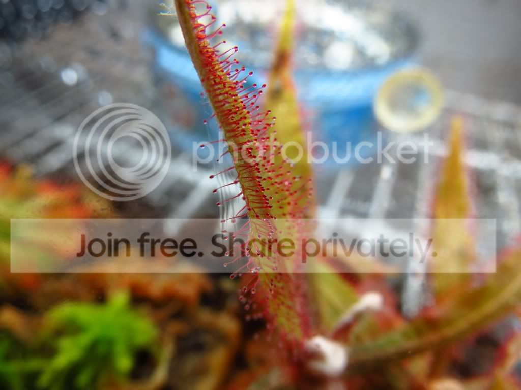 030e93a0.jpg