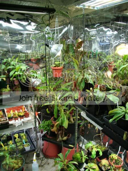 Growroom7.jpg