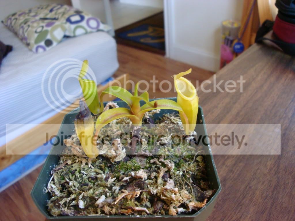 DSC02418.jpg