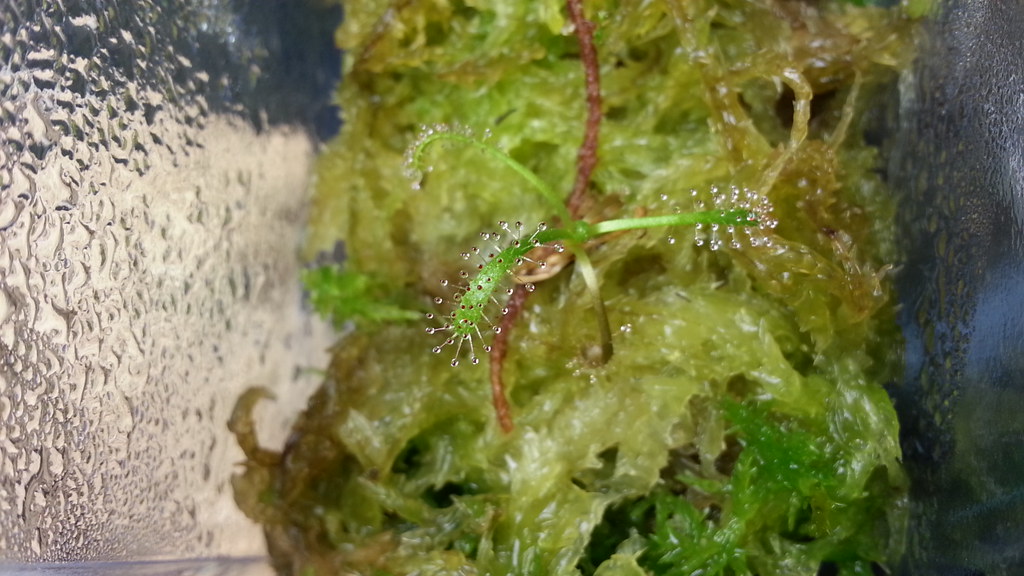 8061860013_ec2fc904c2_b.jpg