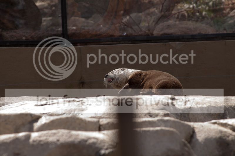 IMG_6445_zpsf161ca7b.jpg