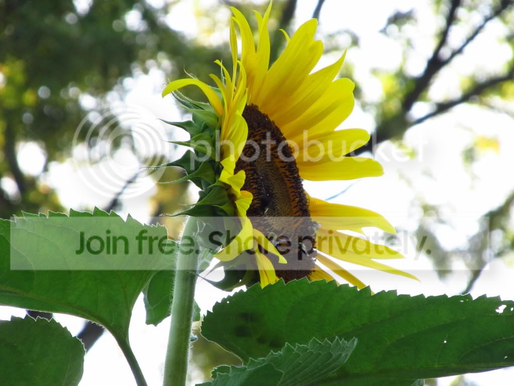 IMG_8055.jpg