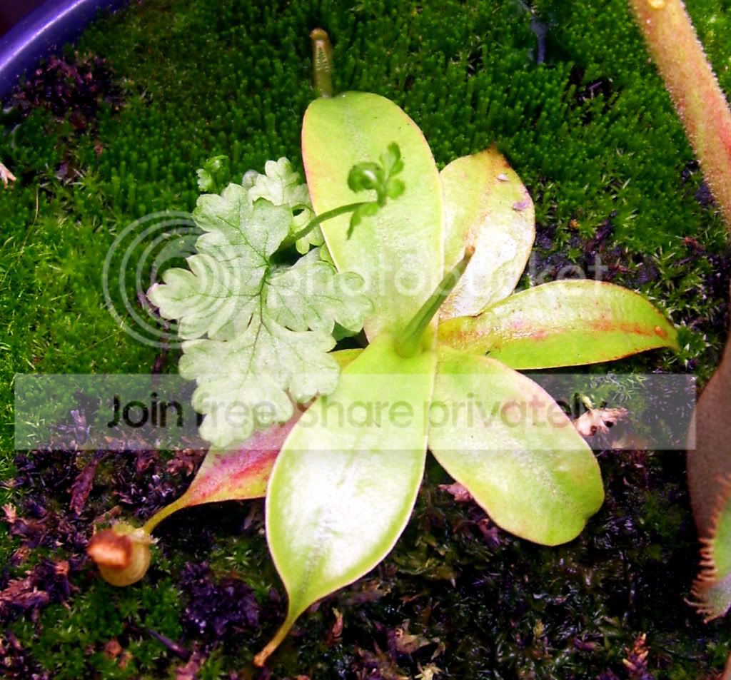100_8435.jpg