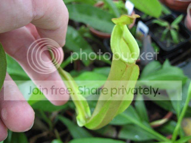 IMG_0375.jpg