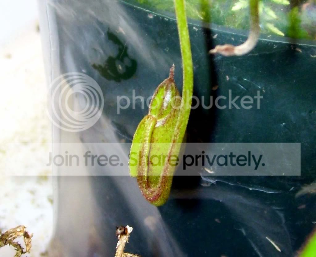 100_7102.jpg