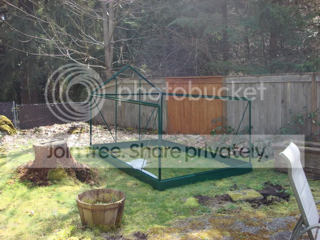 greenhouseproject006.jpg