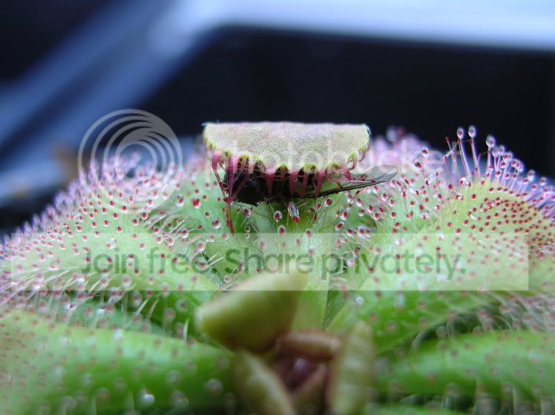dscn2560.jpg